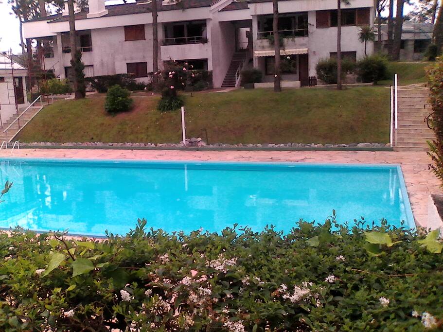 Amplia piscina con solarium.