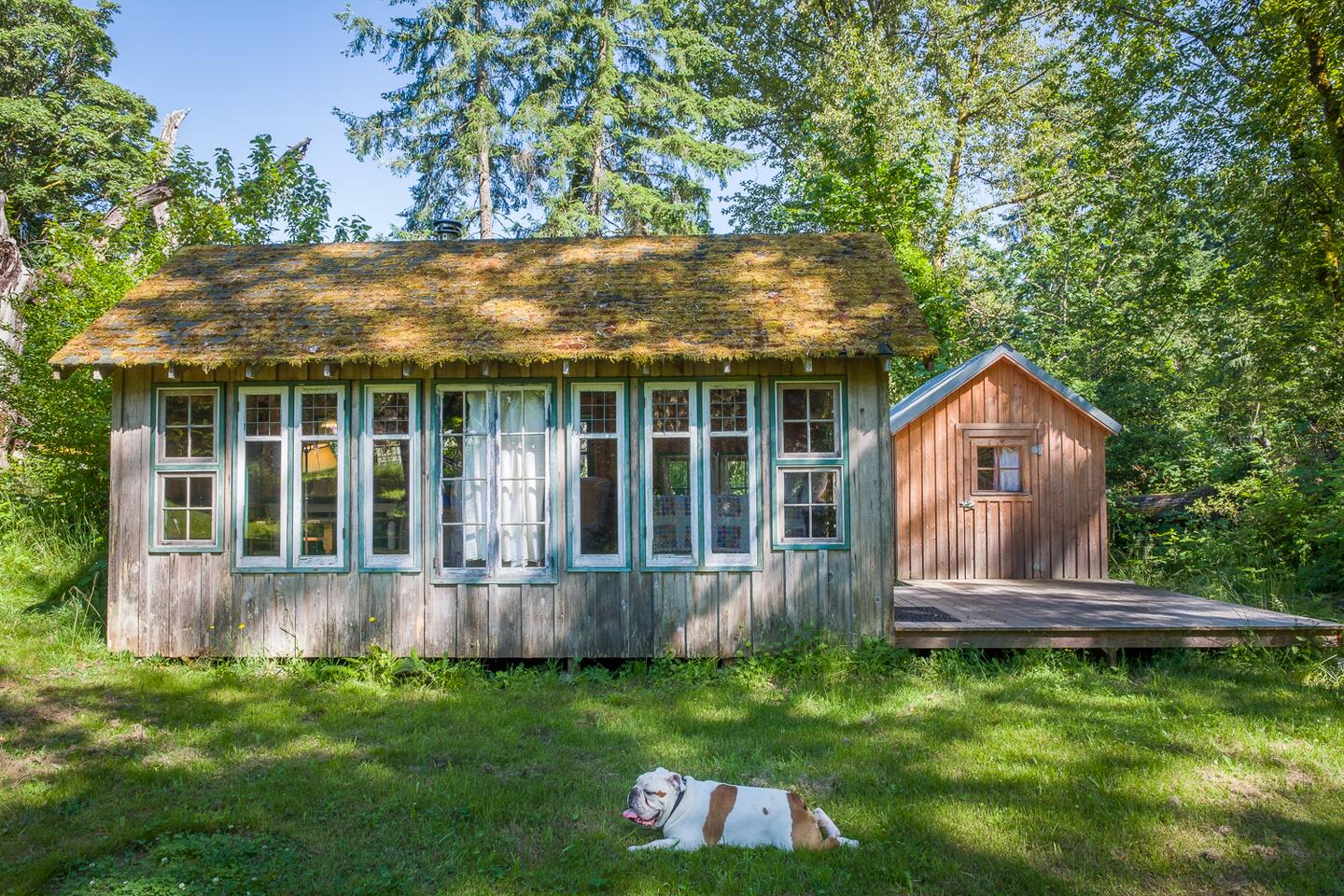 Little Gemma Vashon Getaway Cabins For Rent In Vashon