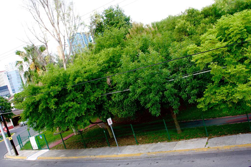 Parque