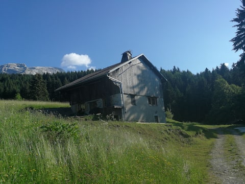 Charming alpine chalet in Mont-Saxonnex