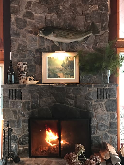 Livingroom Fireplace