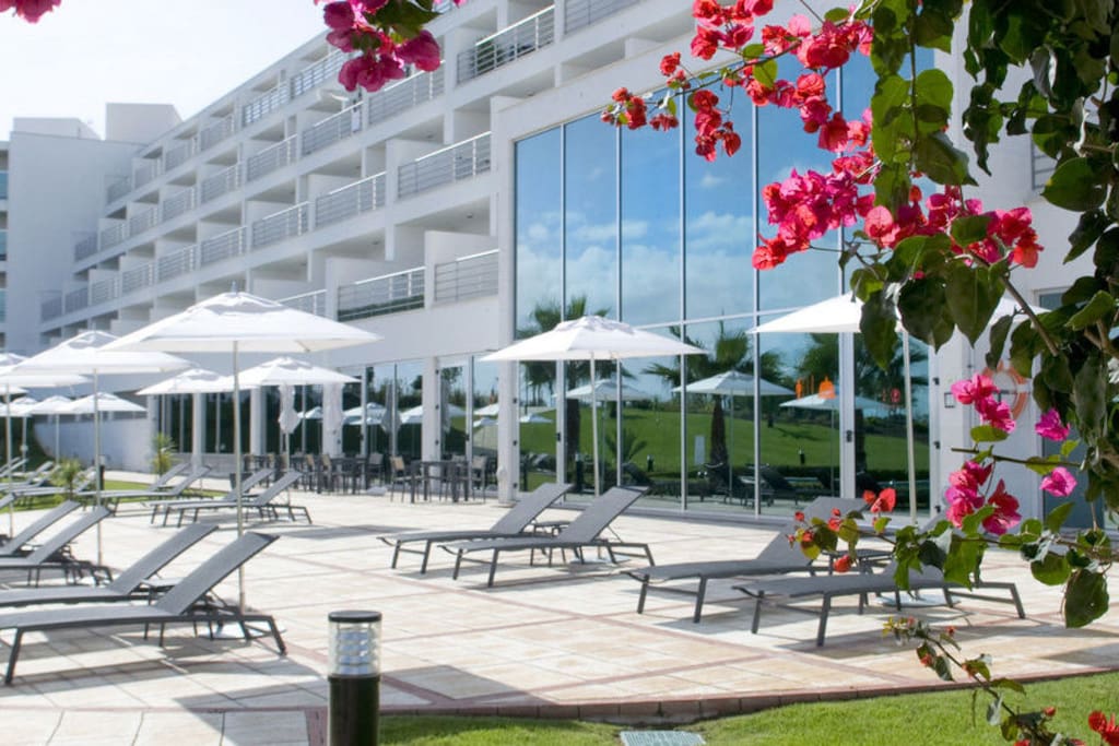 Common areas - garden + sun beds