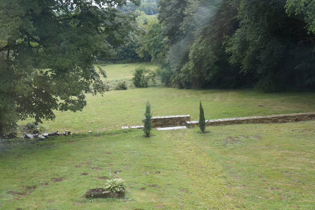 View from House over Field