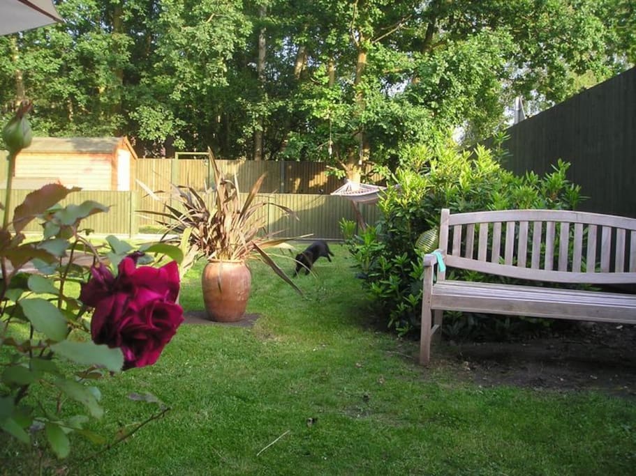 Spacious garden with sun (when it shines) all day. Very quiet, relaxing and just off the edge of the forest.