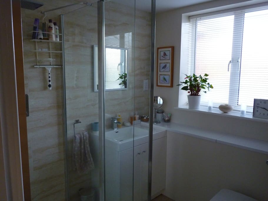 Bathroom - shower and basin