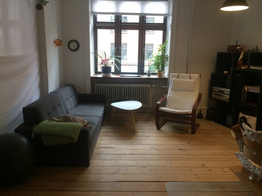 The living room