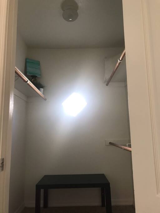 Guest Room Walk-in Closet