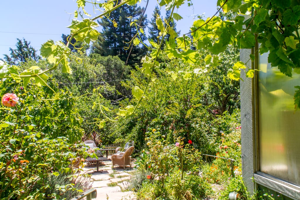 Overlooks garden