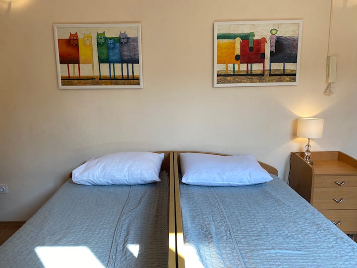 Მეორე საძინებელი 2 ერთადგილიანი საწოლით