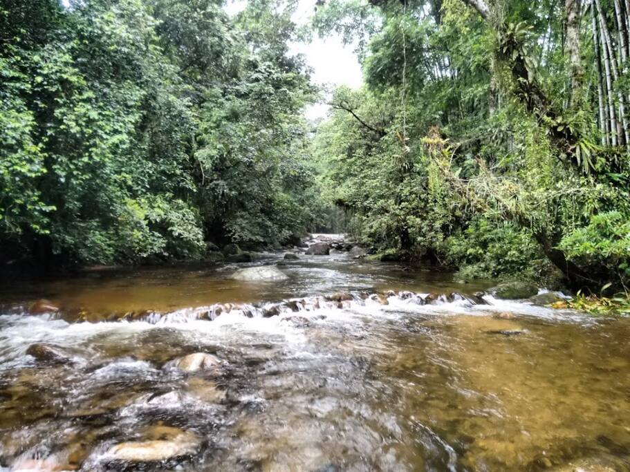 Rio nos fundos (100mts)