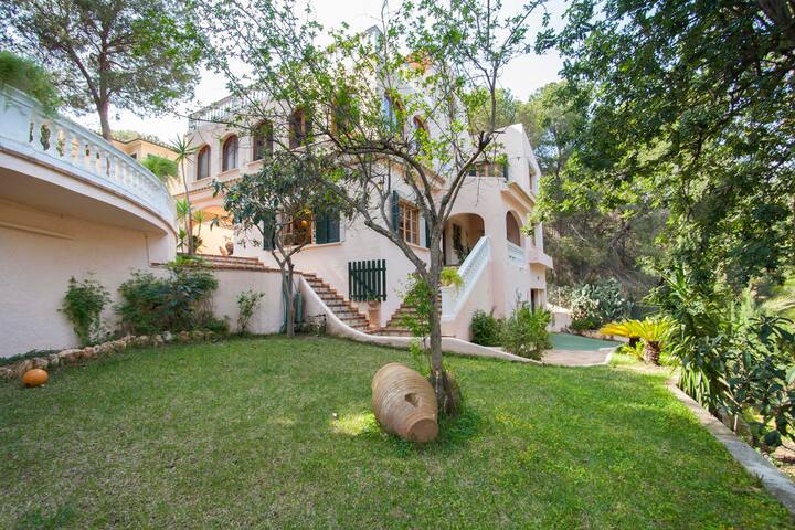 Big Villa Costa Blanes & Near Portals Nous gallery image 2