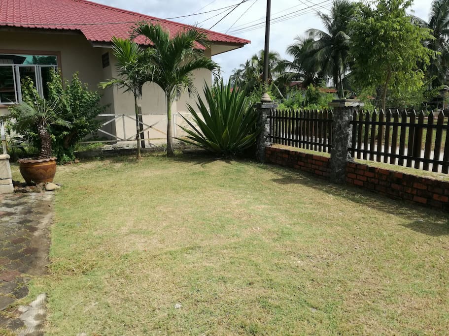The garden
