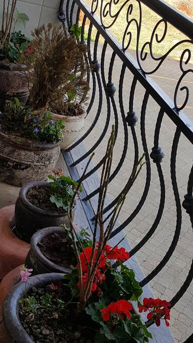 Balcony facing garden and greenery space to relax throughout the day