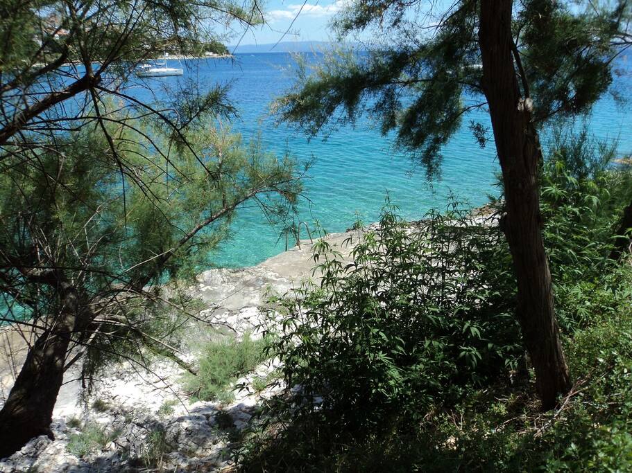 Rocky beach