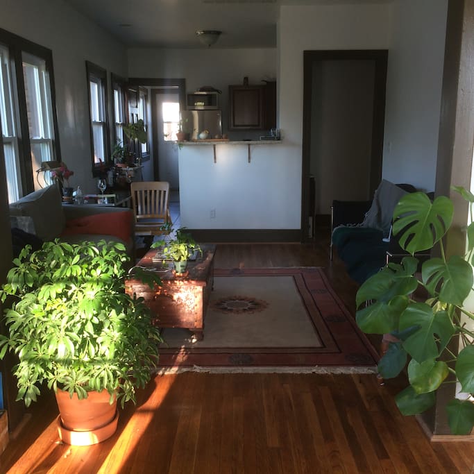 Living room in the morning sun