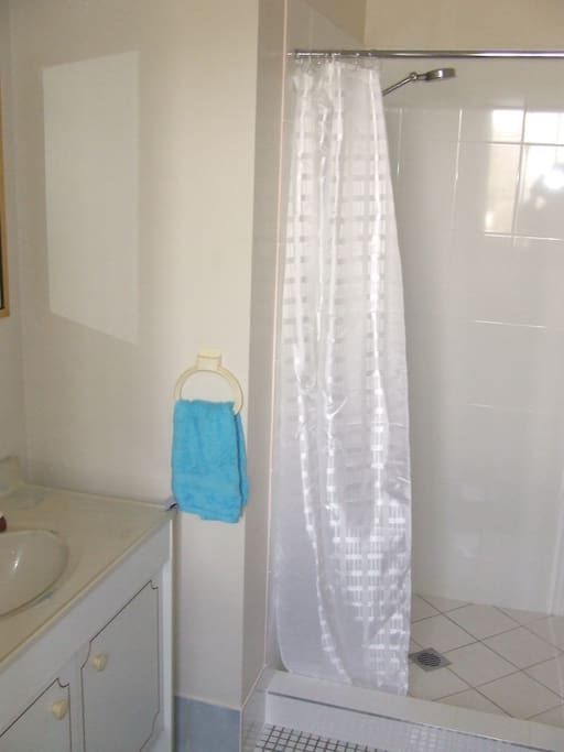Bedroom ensuite with toilet and newly renovated shower