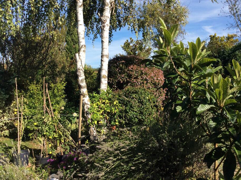 Garden of La Desirade