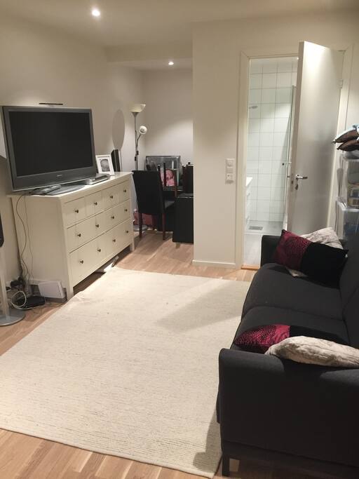 Studio overview with high quality sofabed