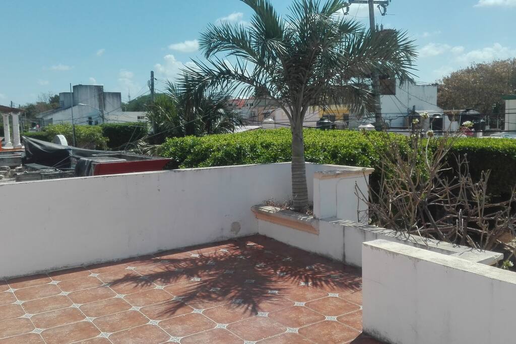 Terraza