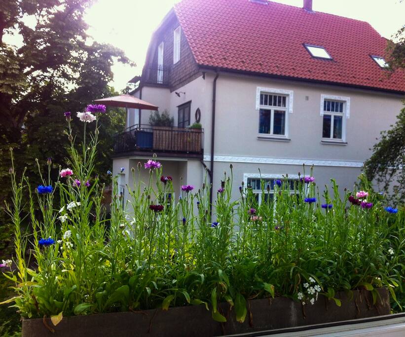 Zimmer Wohnung Bielefeld Altstadt Zimmer Wohnung Bielefeld Altstadt