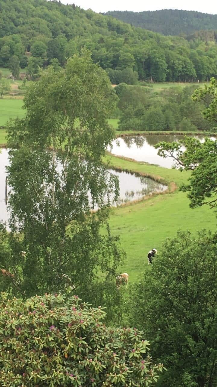 Vår sommarutsikt