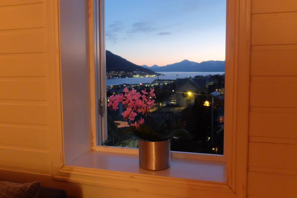 View from the living room