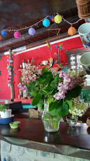 BARRA DE DESAYUNO