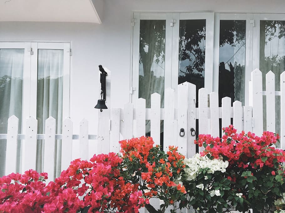 White fence