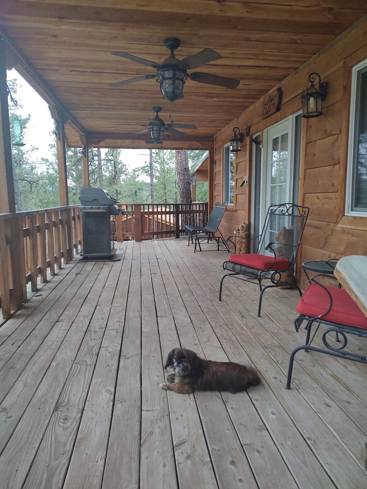 A spacious wooden deck features a grill and several chairs, providing a relaxing outdoor area. Two black rockers with red cushions are positioned near the edge, while a small dog lies comfortably on the deck's floor. The surrounding trees enhance the natural setting.