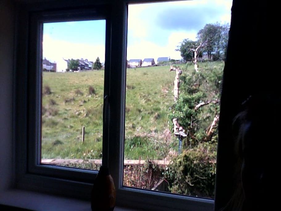 Countryside view, nice and quiet.