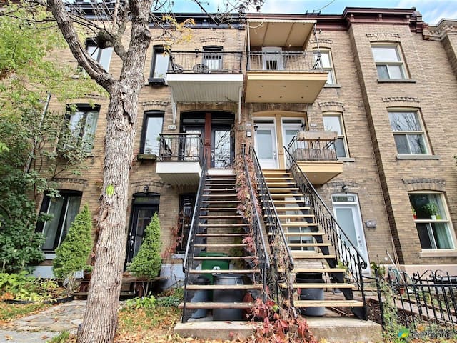 Stunning, spacious cat lover's paradise