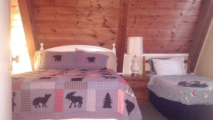 Bedroom with queen & twin bed.