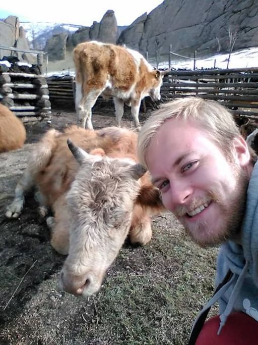 Eerik from Finland taking a selfie with cows