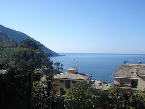 Top performing Airbnb: bludicamogli wifi & a.c. cin it010007c28klg6j55 in Camogli