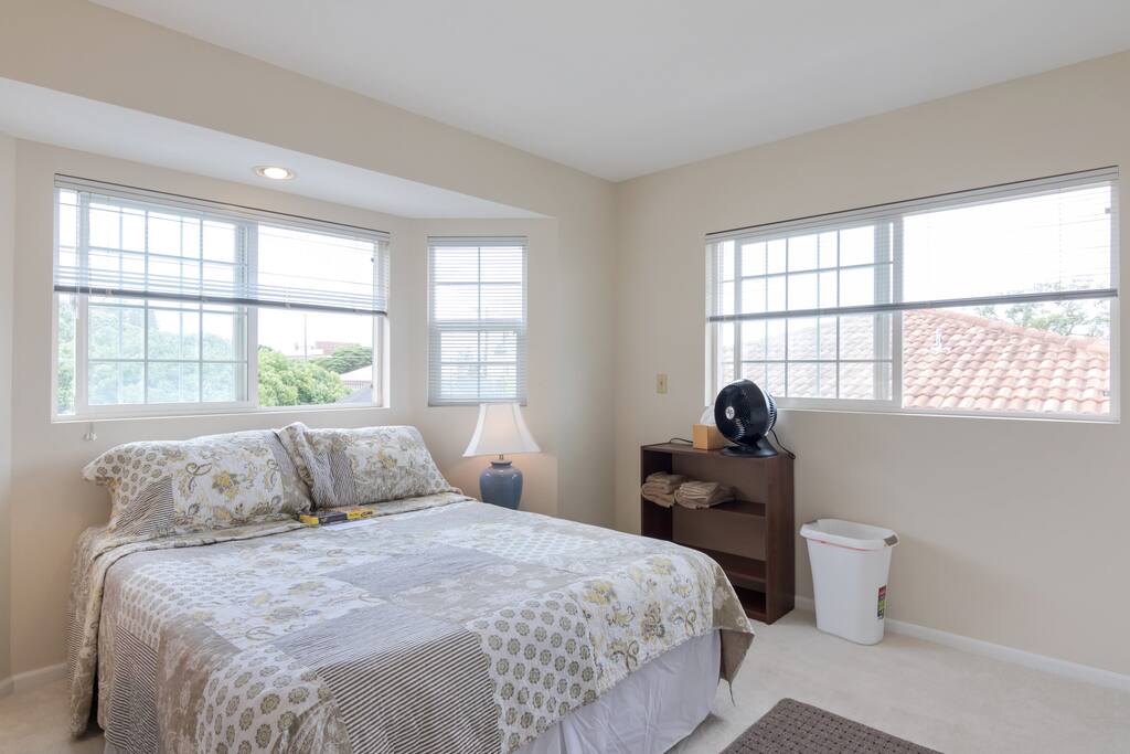 Large Windows