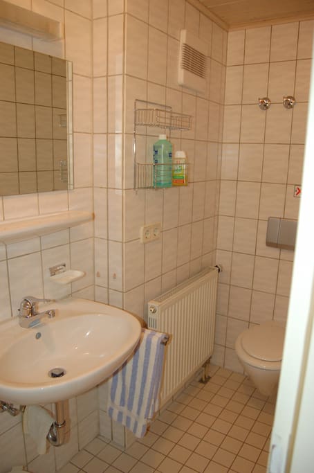Bad mit Dusche und WC vom Schlafzimmer aus erreichbar