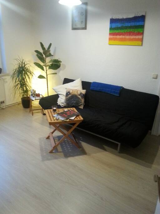 Die Schlafcouch, auch gemütlich zum sitzen :)