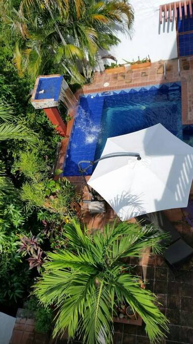 Piscina privada. Privat pool.