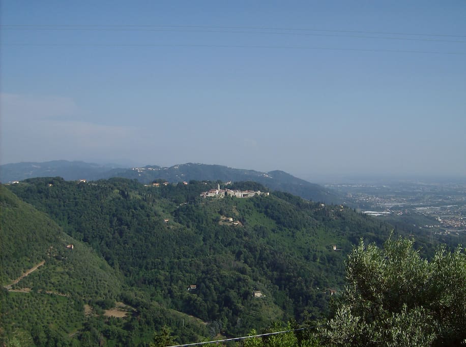 Panorama