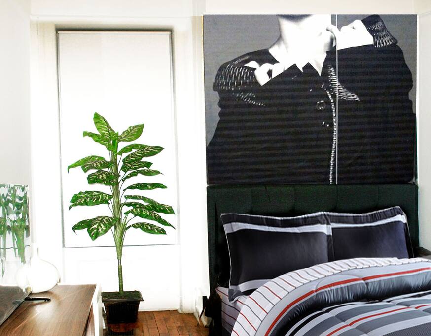 YOUR BEAUTIFUL BEDROOM WITH SIDEBOARD TABLE WITH 40" TV WITH CABLE CONNECTION, WIFI, BEAUIFUL EXPENSIVE 7 FOOT MIRROR, HUGE CLOSET, AIR CONDITIONING, HEAT, WITH DESIGNER BED SHEETS, QUEEN SIZE PLATFORM BEAUTIFUL BED.