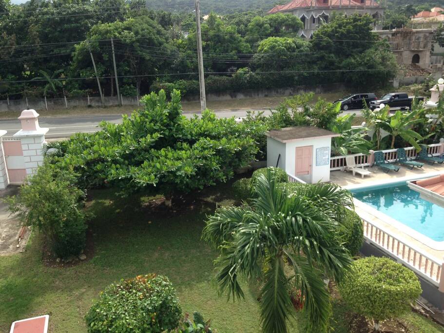 garden and pool