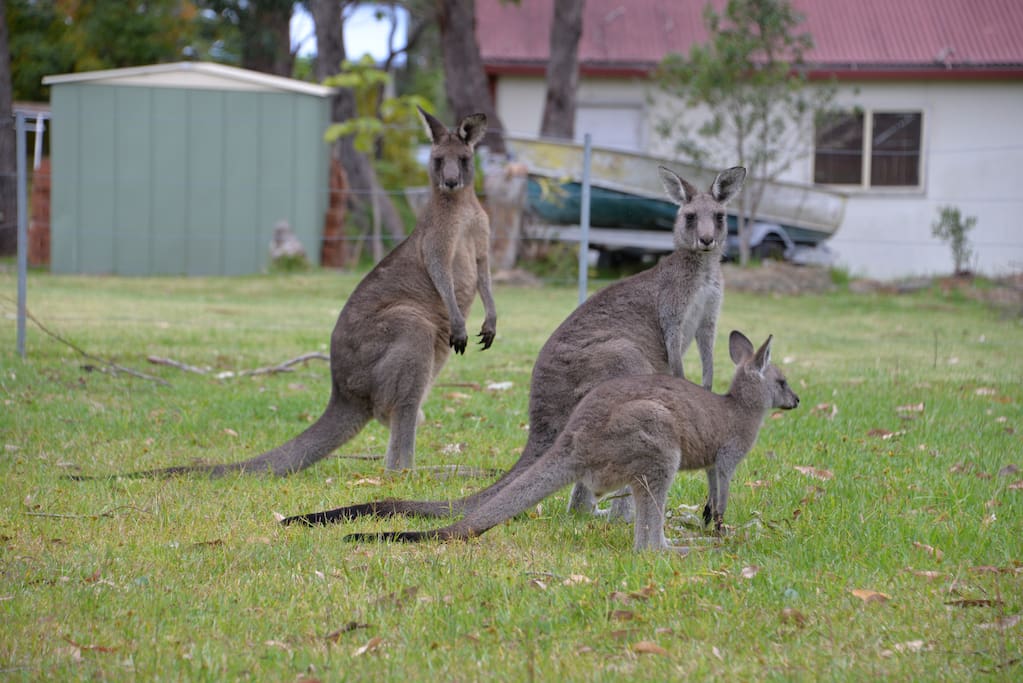 Our long-term tenants. You will have to share with these guys.