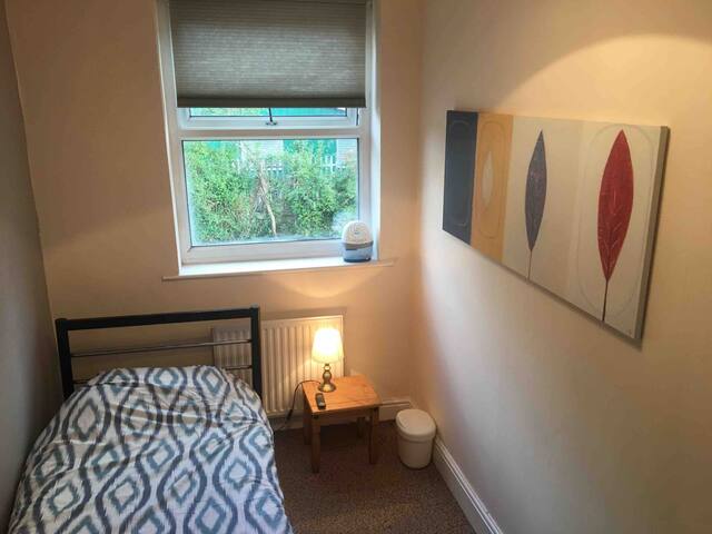 Warm Tidy Terrace House gallery image 5