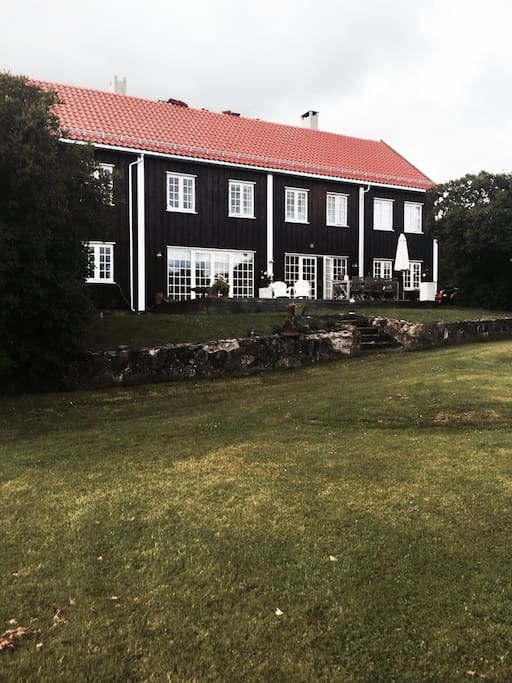 Big lawn and terrace with barbeque