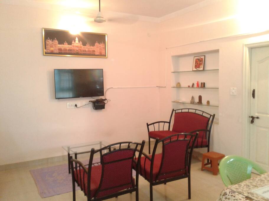 VIEW OF LIVING ROOM , TV