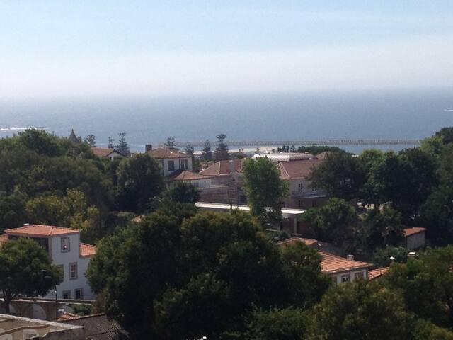 Dream View In Trendy Pvt Condo Penthouse Apt gallery image 3