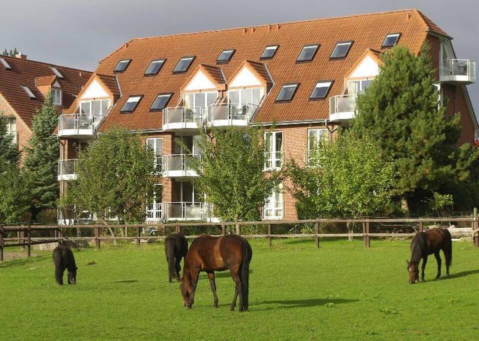 Unsere Ferienanlage, umgeben von Wiesen
