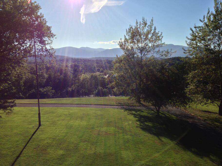 View