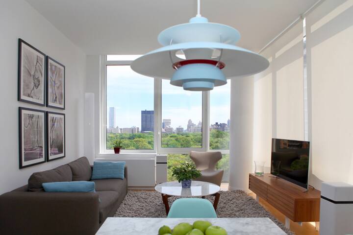 Luxury 1 Bedroom Central Park Views gallery image 2