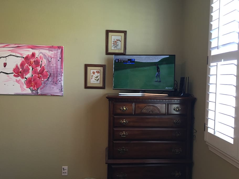 TV with antenna stations, Pandora and Amazon Prime